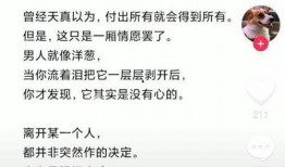 董小姐的格子间最新爆料,揭秘职场生存法则与职场心理